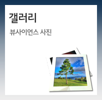 갤러리